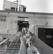 Biblioteca Nacional de Colombia