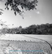 Biblioteca Nacional de Colombia