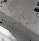 Biblioteca Nacional de Colombia