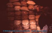 Biblioteca Nacional de Colombia
