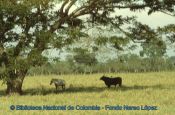 Biblioteca Nacional de Colombia