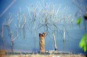Biblioteca Nacional de Colombia