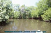 Biblioteca Nacional de Colombia
