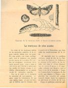 Biblioteca Nacional de Costa Rica