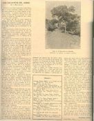 Biblioteca Nacional de Costa Rica