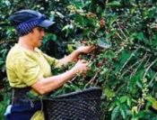Biblioteca Nacional de Costa Rica