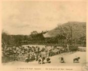 Biblioteca Nacional de Costa Rica