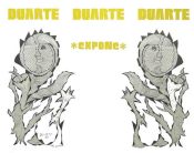 Biblioteca Nacional de Cuba