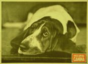 Biblioteca Nacional de Cuba