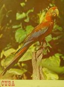 Biblioteca Nacional de Cuba