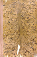 Biblioteca Nacional de la República Dominicana