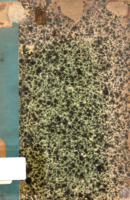 Biblioteca Nacional de la República Dominicana