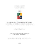 Biblioteca Universitaria de Chile