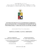 Biblioteca Universitaria de Chile